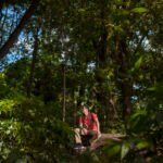 sorties de nuit jungle